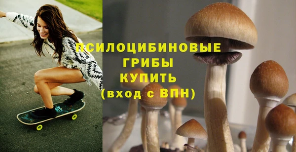 бутират Алексин